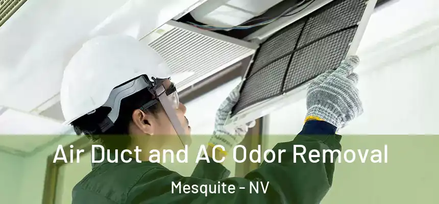 Air Duct and AC Odor Removal Mesquite - NV