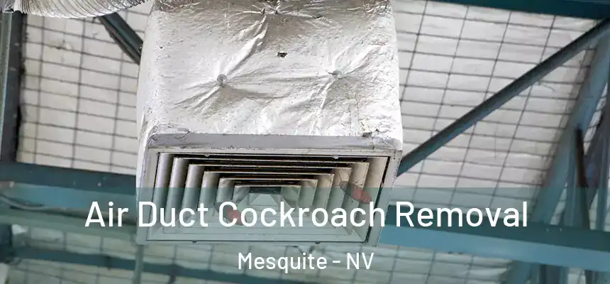  Air Duct Cockroach Removal Mesquite - NV