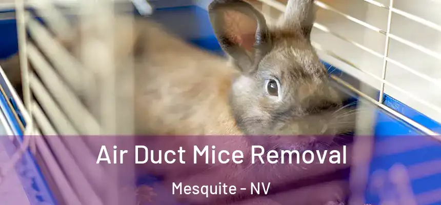 Air Duct Mice Removal Mesquite - NV