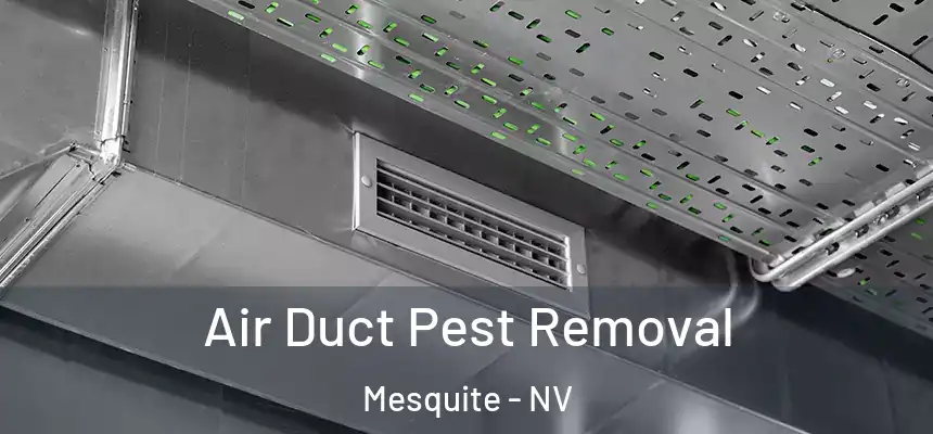  Air Duct Pest Removal Mesquite - NV