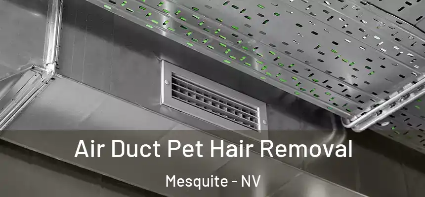 Air Duct Pet Hair Removal Mesquite - NV