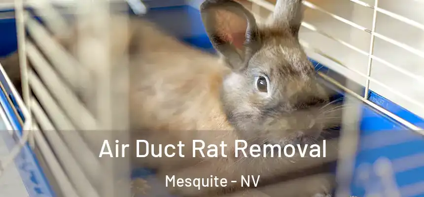 Air Duct Rat Removal Mesquite - NV
