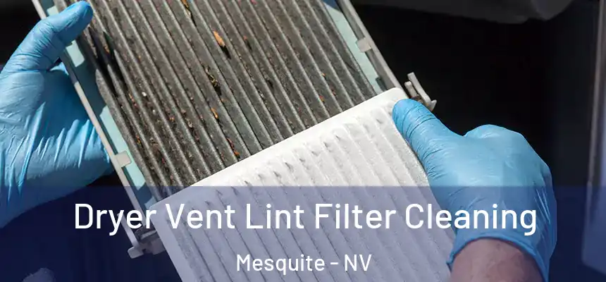 Dryer Vent Lint Filter Cleaning Mesquite - NV