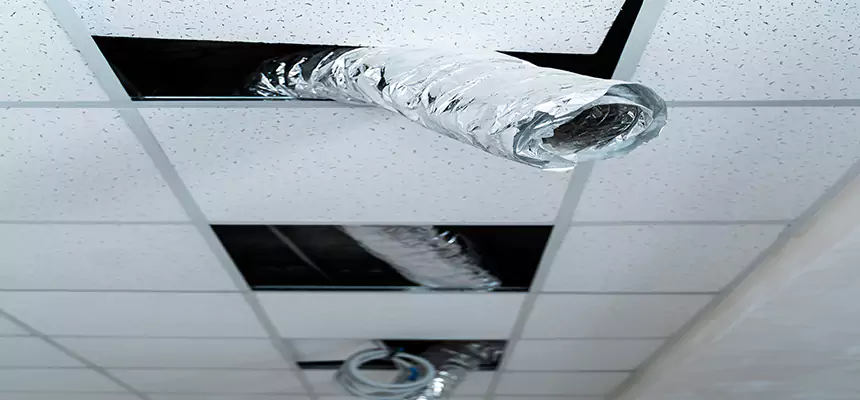 Affordable HVAC Sanitizing After Pest Removal in Mesquite