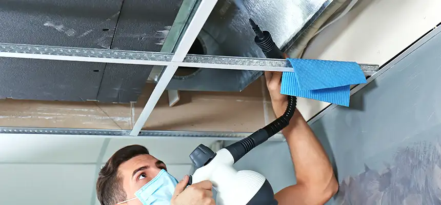 Our Air Duct Rodent Removal Services in Mesquite, NV