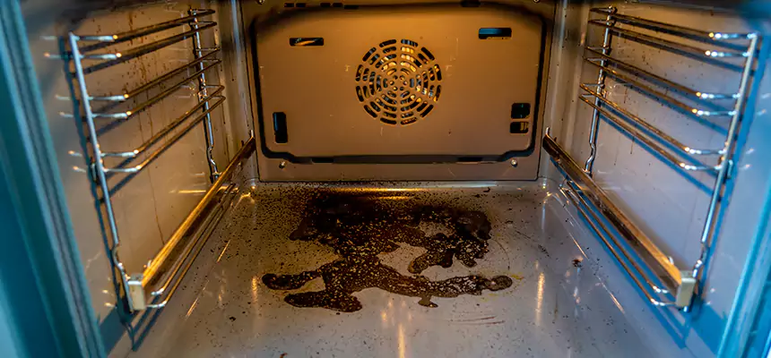 Our Air Purifier Installation Services in Mesquite, NV