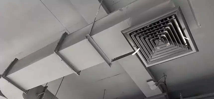 Restorative Allergy Relief Vent Cleaning – Coil, Blower & Housing Detail in Mesquite