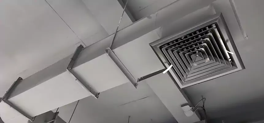 Our Pest Removal From Ducts Services in Mesquite, NV