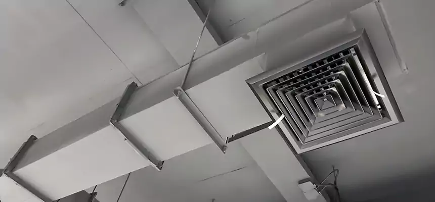 Our Rodent Droppings In Vents Services in Mesquite, NV