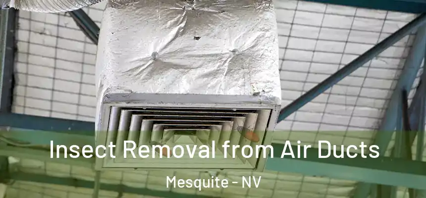 Insect Removal from Air Ducts Mesquite - NV