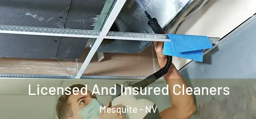  Licensed And Insured Cleaners Mesquite - NV