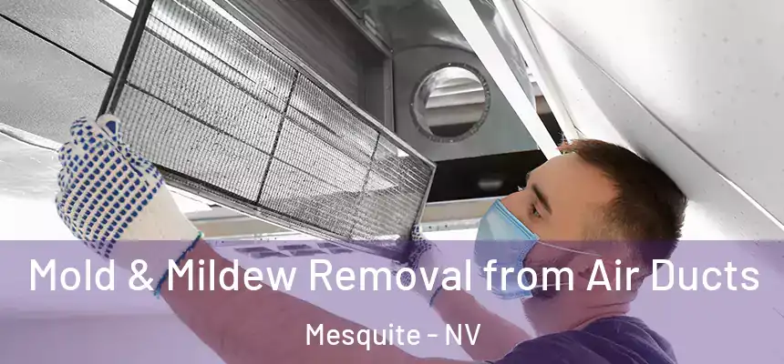 Mold & Mildew Removal from Air Ducts Mesquite - NV