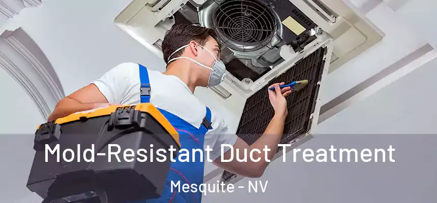Mold-Resistant Duct Treatment Mesquite - NV