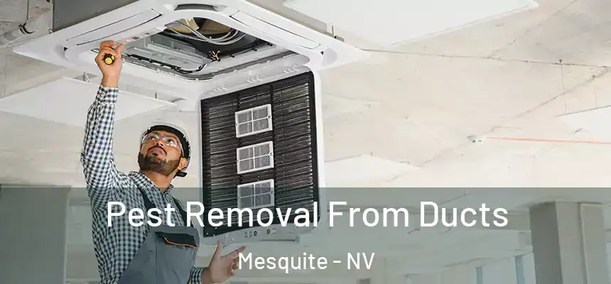  Pest Removal From Ducts Mesquite - NV