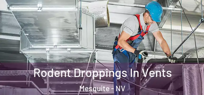 Rodent Droppings In Vents Mesquite - NV