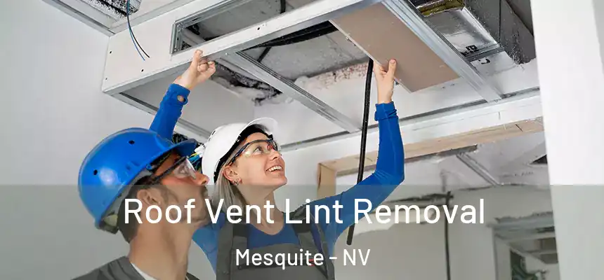 Roof Vent Lint Removal Mesquite - NV