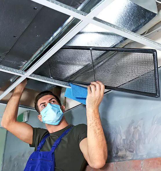 About Air Duct Bacteria Removal in Mesquite