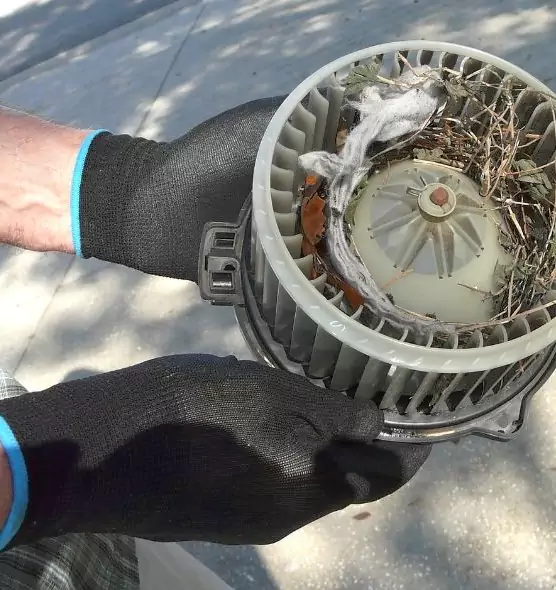 About Air Duct Mice Removal in Mesquite, NV