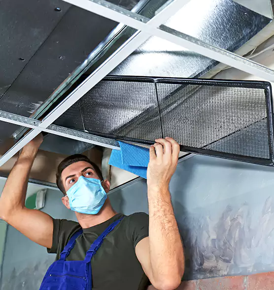 Professional Air Duct Pollen Cleaning in Mesquite, NV