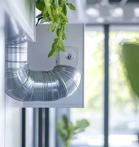 Professional Eco-Safe Dryer Vent Cleaning in Mesquite, NV