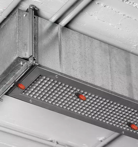 Affordable Insect Removal from Air Ducts in Mesquite, NV
