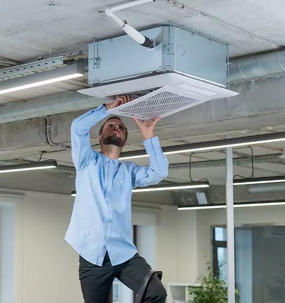 Advanced Rodent Droppings In Vents in Mesquite, NV