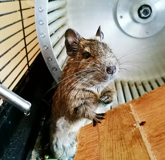 Why Homeowners & Businesses Trust Us Mesquite, NV