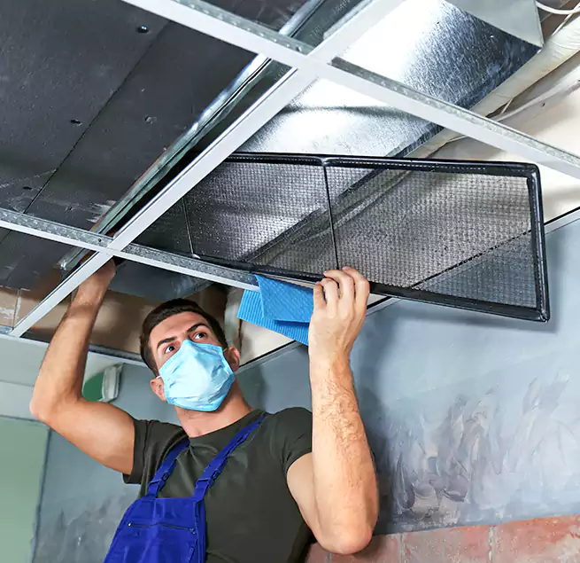 Why Homeowners Businesses Trust Us in Mesquite, NV