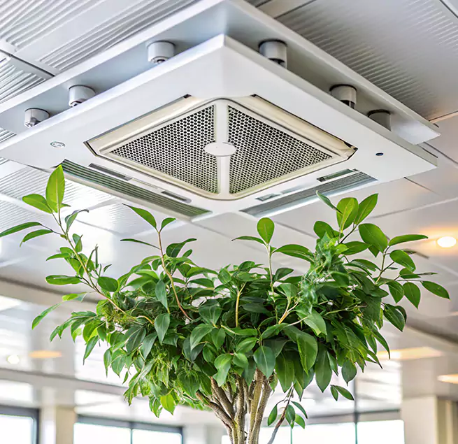 Why Homeowners & Businesses Trust Us in Mesquite, NV?