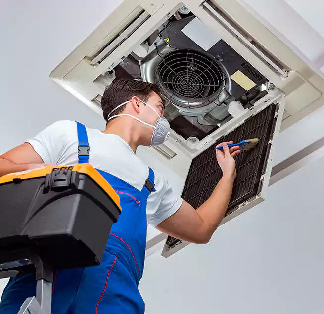 Why Homeowners & Businesses Trust Us in Mesquite, NV?